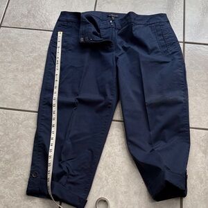 blue eileen fisher size PL crop pants
